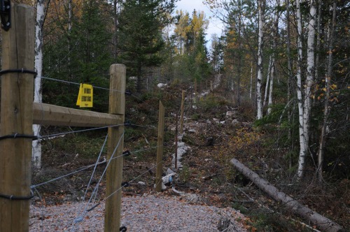 Ljusbodarna 151006 stängsel