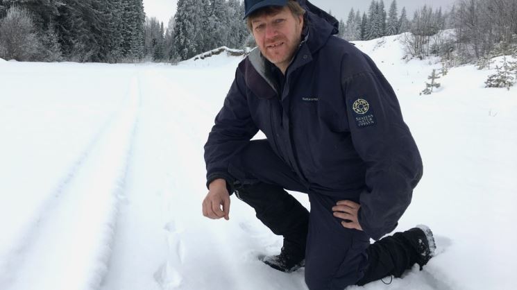 Skärmklipp